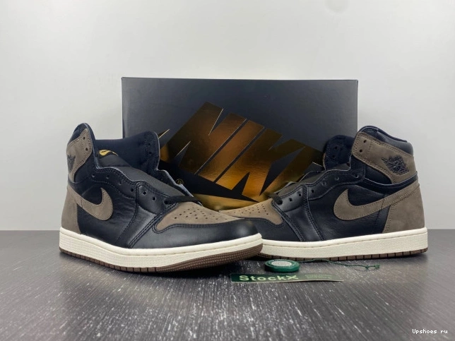 Palomino Jordan Retro DZ5485-020  OG  1  High 0808
